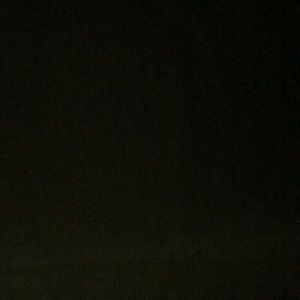 Meet your Posher, Pat